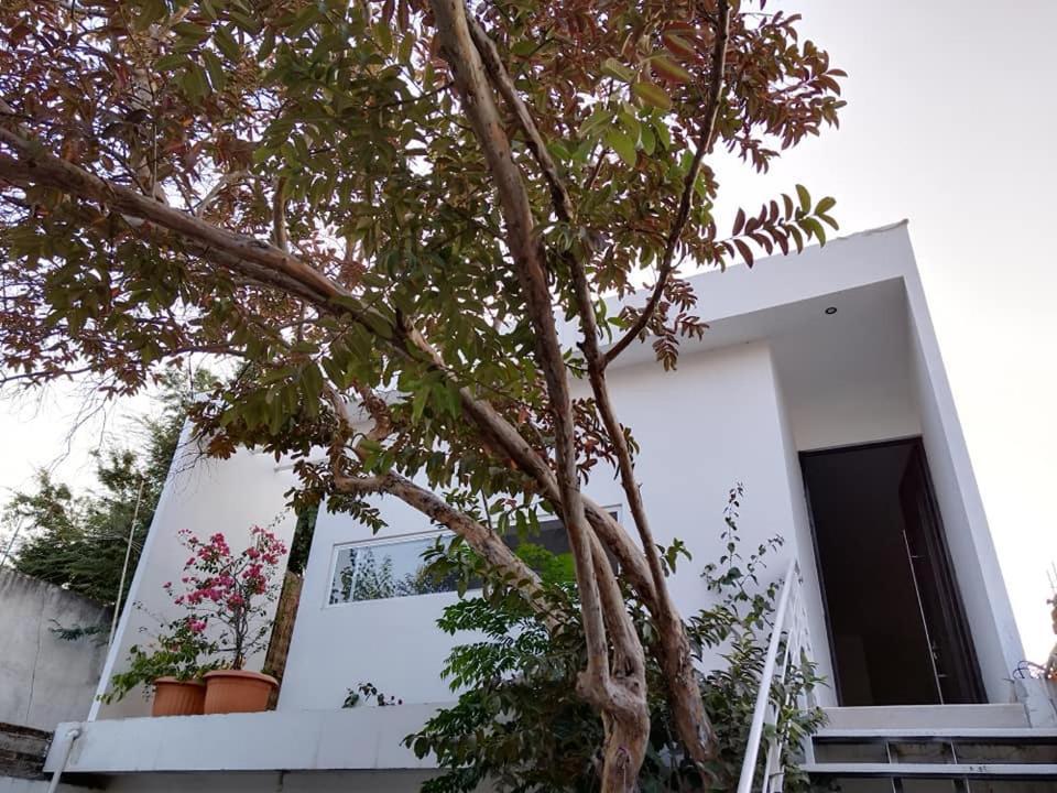 Casa Mango Amplia Con Alberca Y Cerca De La Media Luna !!! Río Verde エクステリア 写真
